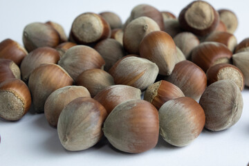 Hazelnut nut isolated on white background