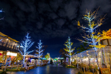 大阪天王寺のてんしばの夜。12月に入るとイルミネーションとライトアップで華やかに