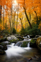 Flowing stream in the autumn