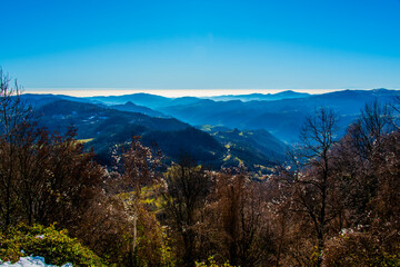 Obraz premium trees and endless landscape