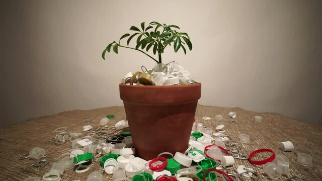 Green growing plant in pot full of plastic dirt trash. Agriculture and gardening or ecology disaster. Concept of environmental catastrophic apocalypse due non recyclable plastic garbage pollution. 