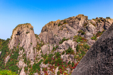Scenic and panoramic view of 
Mount Huangshan cliffs and forest of Masson pine with various colours typical of the autumn season, Anhui, China Yellow mountain