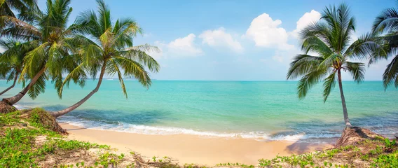 Raamstickers tropisch strand met kokospalm © Alexander Ozerov