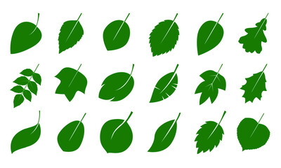 A set of green various Leaves. Vector icon. Vector Illustration. Plant in garden.