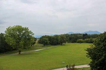 Beautiful green landscape with trees and grass and gray sky in background