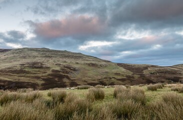 The beautiful unspoiled Northumberland countryside in the middle of the Northumberland International Dark Sky Park in the Breamish Valley