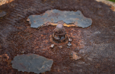 Old rusty metal sheet and screw, close up 