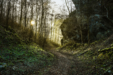 Scenic view of forest path leadings through forest and a big mossy rock. The sun beams that shine through the forest illuminates this fantastic scenery.