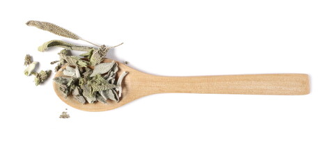 Dried Mealy sage flower leaves, Salvia farinacea, Blue salvia in wooden spoon isolated on white...