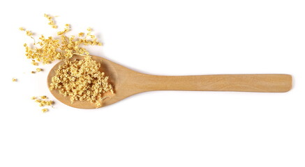 Dried Elder, elderberry plant with young flowers in wooden spoon isolated on white background, top view