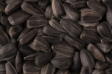 Close-up above view photo of tasty sunflower seeds in shell background