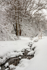 Creek in the snow
