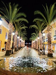 fountain in the night with palms tree