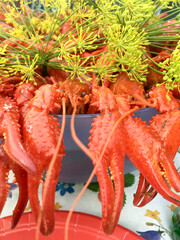 traditional swedish crayfish party