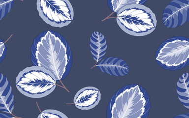 Seamless tropical summer pattern with exotic  leaves calathea.