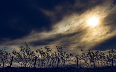 sunset in the mountains