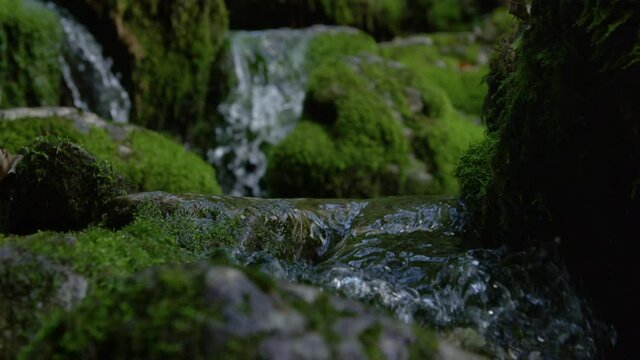 SLOW MOTION CLOSE UP DOF: Glassy river water flows along the mossy stones. Idyllic close up view of a stream coursing down the moss covered rocky riverbed in the middle of a remote forest in Slovenia.