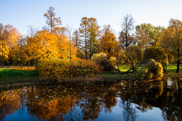 Fototapeta na wymiar Colorful autumn park view and reflections