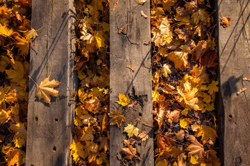 Golden autumn leaves on railway sleepers