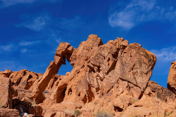 Fototapeta na wymiar Sunny view of the Elephant Rock of Valley of Fire State Park