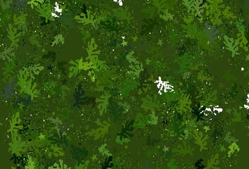 Light Green vector texture with abstract forms.