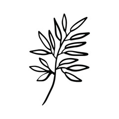 Hand drawn doodle vector branch for posters, greeting cards, web, clothes, wrapping paper. Floral outline element isolated on white background.