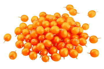 Sea buckthorn isolated on white background, clipping path, full depth of field