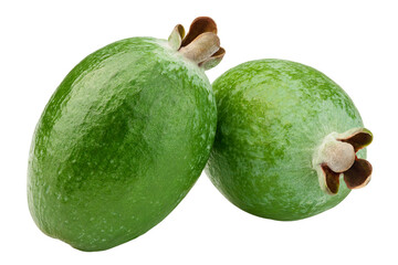 Feijoa isolated on white background, clipping path, full depth of field