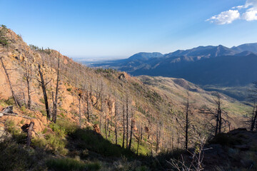 Burnt trees against mountain range in the distance.