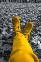 Fototapeta premium bright yellow modern boots on grey background