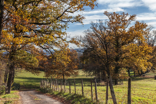 Varetz (Corrèze, France) - Vue campagnarde en automne