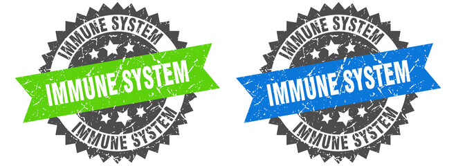 Obraz premium immune system band sign. immune system grunge stamp set