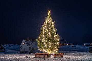 Christmas tree Nuuk Greenland.