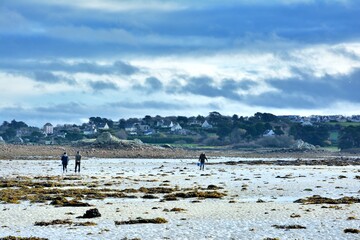 Fototapeta na wymiar People fishing on the beach at low tide in Brittany. France