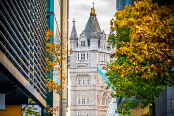 Obraz premium Tower Bridge in London captured between buildings in autumn season