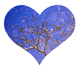 Heart with the image of snow, snowflakes and tree branches