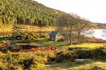 On the shores of Llyn Geirionydd, Snowdonia. Winter landscape with forest in the background.