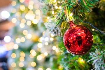 Red luxury christmas ball hang on pinne tree with bokeh background