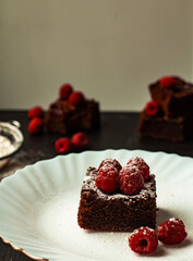 Brownie cake piece. Homemade tasty chocolate brownie pieces with chocolate and fresh berries. Side view. Vertical orientation