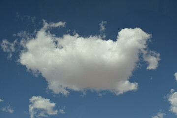 Animal-like cloud