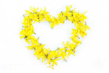 Flowers composition. Heart symbol made of fresh yellow flowers on white background. symbol of Valentine's Day in trend color 2021 Illuminating. background for mother's Day card. Flat lay, top view.