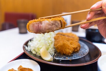 Japanese Fried Pork