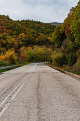 Fototapeta na wymiar Street view of the forest with fall colours near in zagori epirus greece