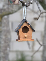 Painted wooden houses for the children to hook them to the trees
