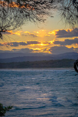  Sunset Through Trees vert