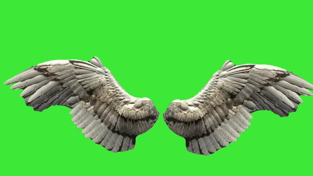 real angel feather wings fantasy  on a green screen background