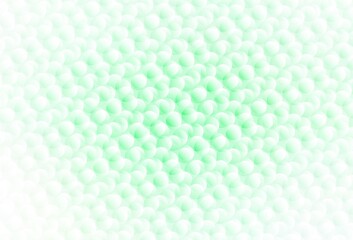 Light Green vector backdrop with dots.