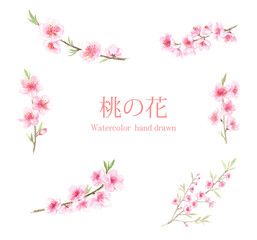 桃の花　水彩画セット