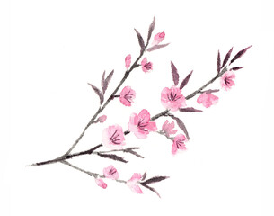 桃の花　墨彩画　水墨画　墨絵