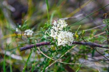  at Crooked Brook Forest
